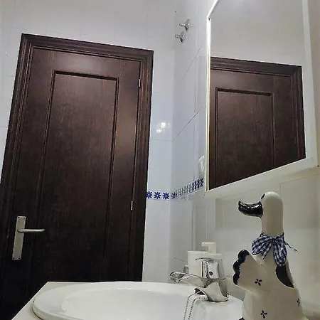 Appartement En Pleno Centro. Acogedor, Garaje, Ascensor, A/a.
